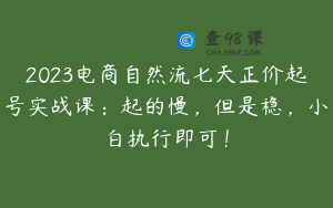 2023电商自然流七天正价起号实战课：起的慢，但是稳，小白执行即可！