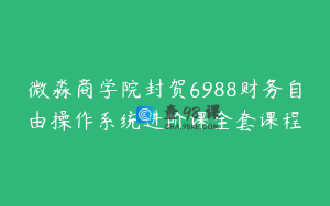 微淼商学院封贺6988财务自由操作系统进阶课全套课程