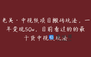 老吴·中视频项目搬砖玩法，一年变现50w，目前看过的的最干货中视频玩法