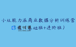 小灶能力派商业数据分析训练营课程（基础班+进阶班）