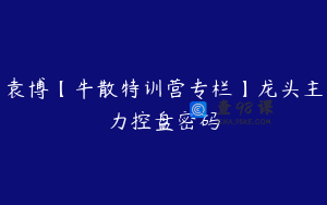袁博【牛散特训营专栏】龙头主力控盘密码