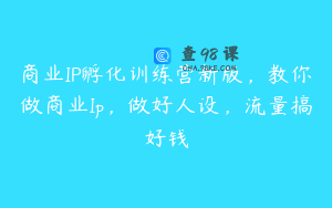 商业IP孵化训练营新版，教你做商业Ip，做好人设，流量搞好钱