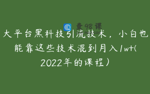 大平台黑科技引流技术，小白也能靠这些技术混到月入1w+(2022年的课程）