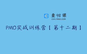 PMO实战训练营【第十二期】