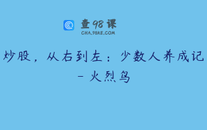 炒股，从右到左：少数人养成记- 火烈鸟