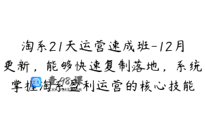 淘系21天运营速成班-12月更新，能够快速复制落地，系统掌握淘系盈利运营的核心技能