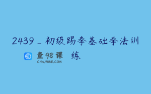 2439_初级踢拳基础拳法训练