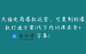 天猫电商爆款运营，可复制的爆款打造方案(线下内训课录音+字幕)