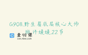 G908.野生眉底层核心大师班.许媛媛.22节