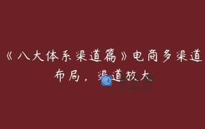 《八大体系渠道篇》电商多渠道布局，渠道放大