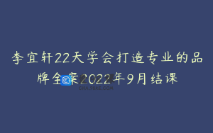 李宜轩22天学会打造专业的品牌全案2022年9月结课