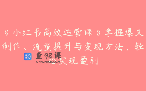 《小红书高效运营课》掌握爆文制作、流量提升与变现方法，轻松实现盈利
