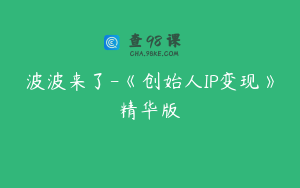 波波来了-《创始人IP变现》精华版