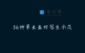 36种草虫鱼虾写生示范