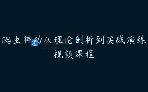 爬虫神功从理论剖析到实战演练视频课程