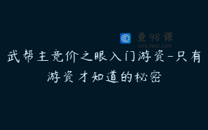 武帮主竞价之眼入门游资-只有游资才知道的秘密