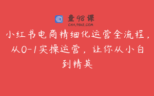 小红书电商精细化运营全流程，从0-1实操运营，让你从小白到精英