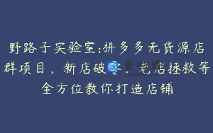 野路子实验室:拼多多无货源店群项目，新店破零，老店拯救等全方位教你打造店铺