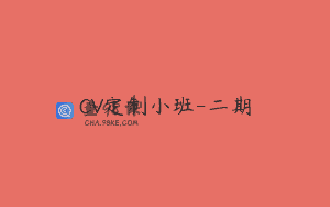 CV定制小班-二期
