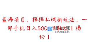 蓝海项目，探探私域新玩法，一部手机日入500+很轻松【揭秘】
