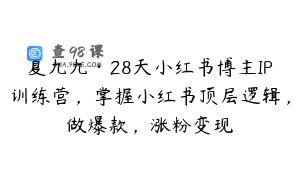 夏九九·28天小红书博主IP训练营，掌握小红书顶层逻辑，做爆款，涨粉变现
