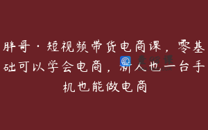 胖哥·短视频带货电商课，零基础可以学会电商，新人也一台手机也能做电商