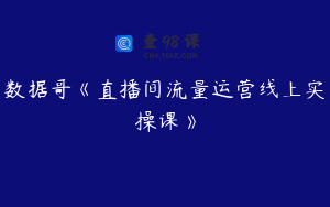 数据哥《直播间流量运营线上实操课》