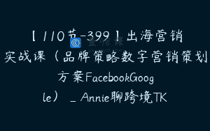 【110节-399】出海营销实战课（品牌策略数字营销策划方案FacebookGoogle）_Annie聊跨境TK