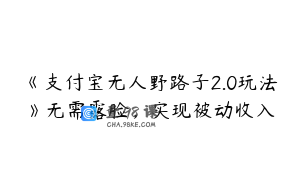 《支付宝无人野路子2.0玩法》无需露脸，实现被动收入