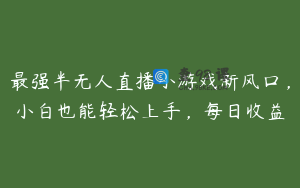 最强半无人直播小游戏新风口，小白也能轻松上手，每日收益