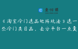 《淘宝冷门选品矩阵玩法》选一些冷门类目品，去分平台一点羹