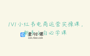 1V1小红书电商运营实操课，新手小白必学课