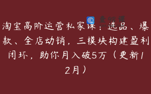淘宝高阶运营私家课：选品、爆款、全店动销，三模块构建盈利闭环，助你月入破5万（更新12月）