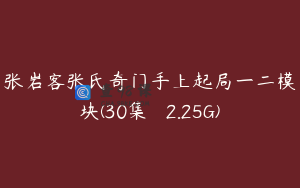 张岩客张氏奇门手上起局一二模块(30集   2.25G)