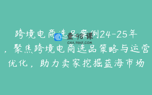 跨境电商选品案例24-25年，聚焦跨境电商选品策略与运营优化，助力卖家挖掘蓝海市场
