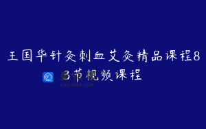 王国华针灸刺血艾灸精品课程83节视频课程