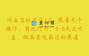 闲鱼虚拟项目1.0，跟着老手操作，有执行力，3-5天出收益，做离变现最近的赛道