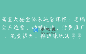 淘宝天猫全体系运营课程：店铺全系运营、动销玩法、付费推广、流量提升、擦边球玩法等等