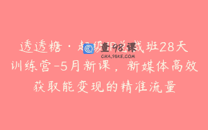 透透糖·超级IP总裁班28天训练营-5月新课，新媒体高效获取能变现的精准流量