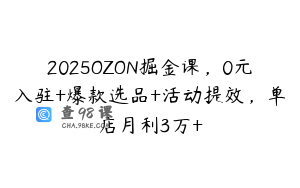 2025OZON掘金课，0元入驻+爆款选品+活动提效，单店月利3万+