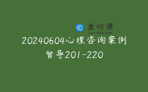 20240604心理咨询案例督导201-220