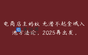 电商店主蚂蚁・无潜不起全域入池方法论，2025再出发，