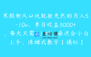 寒假新风口玩就挺秃然的月入5-10w，单日收益3000+，每天只需1小时，最适合小白上手，保姆式教学【揭秘】