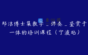 郑洁博士集教学_弹奏_鉴赏于一体的培训课程（宁波站）