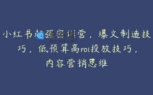 小红书超强密训营，爆文制造技巧，低预算高roi投放技巧，内容营销思维