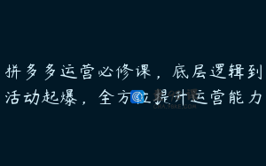 拼多多运营必修课，底层逻辑到活动起爆，全方位提升运营能力