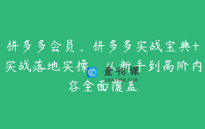 拼多多会员,拼多多实战宝典+实战落地实操,从新手到高阶内容全面覆盖