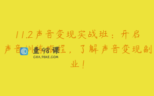 11.2声音变现实战班：开启声音训练旅程，了解声音变现副业！