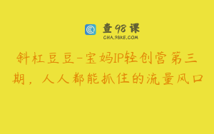 斜杠豆豆-宝妈IP轻创营第三期，人人都能抓住的流量风口