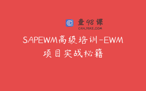 SAPEWM高级培训-EWM项目实战秘籍